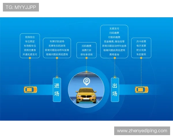 如何在AG押注中稳步盈利：专家分享实用心得与投注技巧