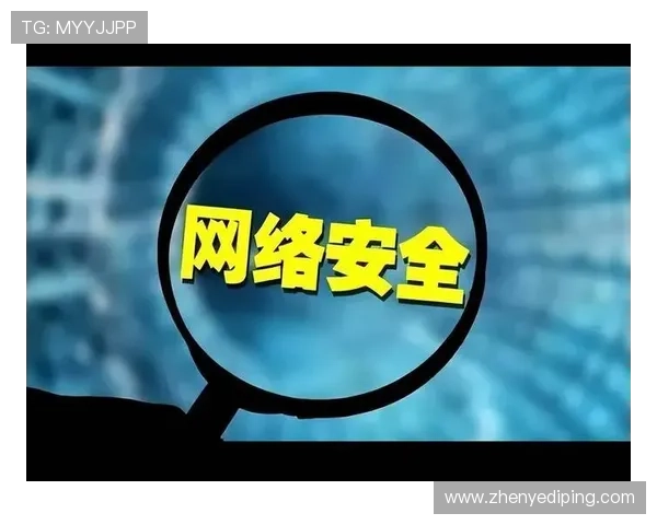 K8国际(中国)首页登录入口安全性分析及用户隐私保护措施